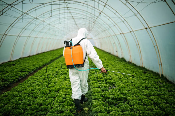 Best Exterminator Services  in Gleed, WA