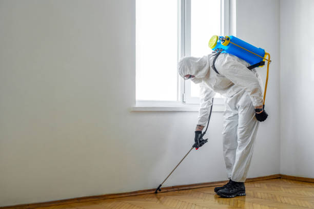 Best Pest Control Near Me in Gleed, WA