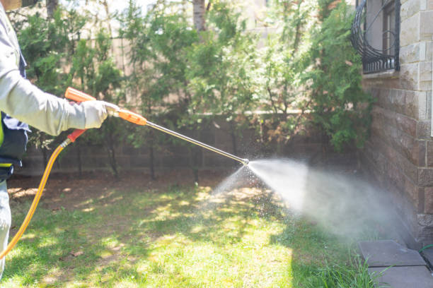 Best Rat Extermination Near Me  in Gleed, WA