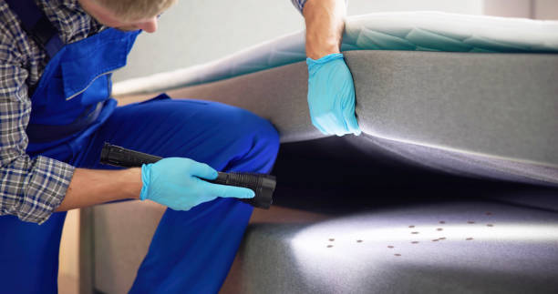 Best Ant Control Services  in Gleed, WA