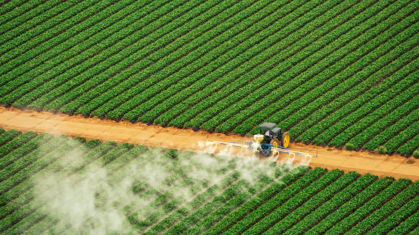 Best Local Pest Control Services  in Gleed, WA