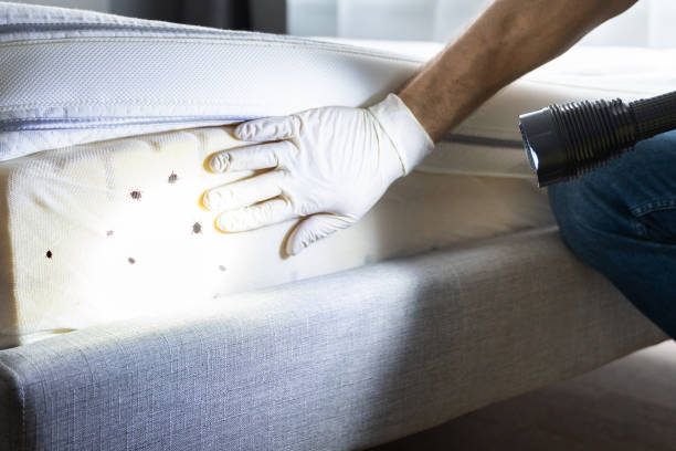 Best Emergency Pest Control  in Gleed, WA