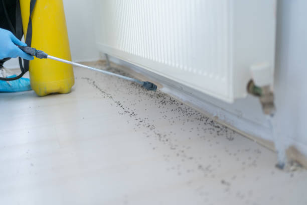 Reliable Gleed, WA Pest Control Solutions